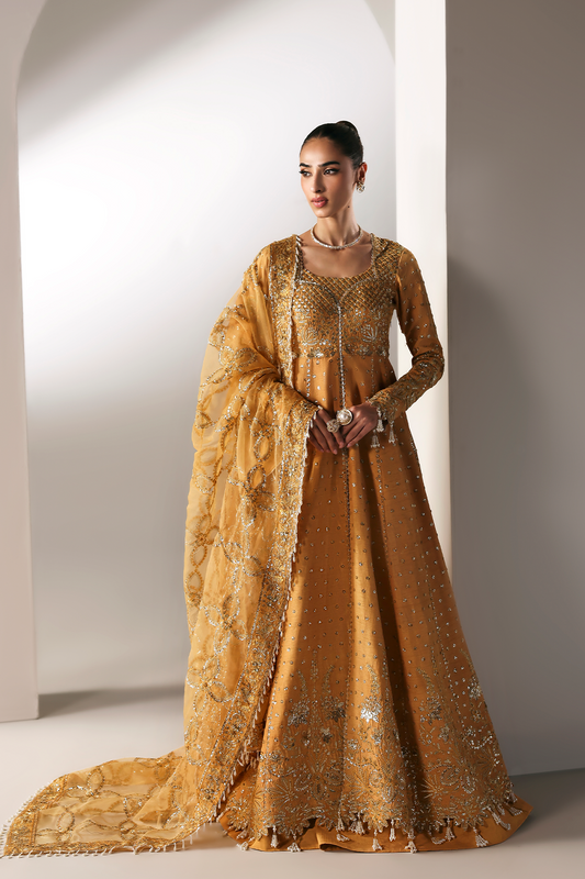 Best Luxe silk design dress in pakistan Emaan Adeel Best Luxe silk design dress in pakistan Emaan Adeel